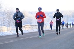 ダローガジーズニ